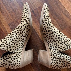 Dolce Vita Sonni Leopard Bootie